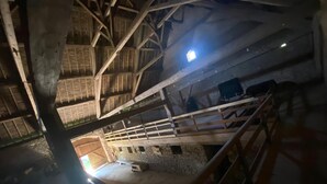 Interior de un granero con techos altos, vigas de madera, un pasillo central y una escalera que conduce a niveles superiores.