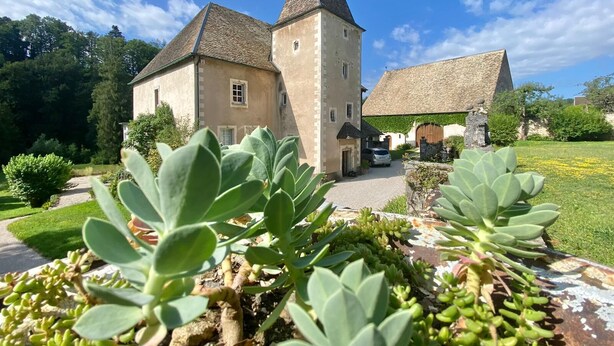 Un edificio de piedra tradicional con una torre destacada, rodeado de abundante vegetación y un cielo azul despejado.