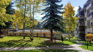 Stroll through the serene outdoor area surrounded by mature trees and well-manicured grounds.
