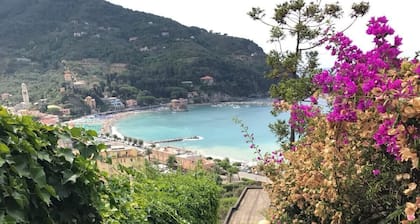 MAISON LA LETIZIA - La Terrazza Sul Mare-maison avec une vue splendide sur le golfe