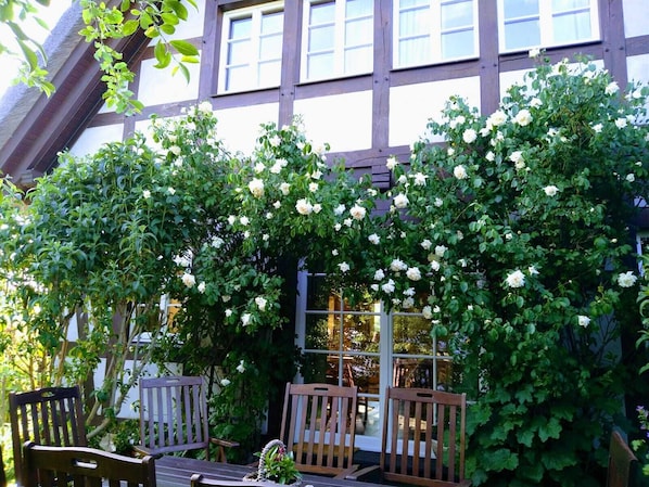 A building with a white facade and dark wooden beams, surrounded by lush greenery and white flowers.