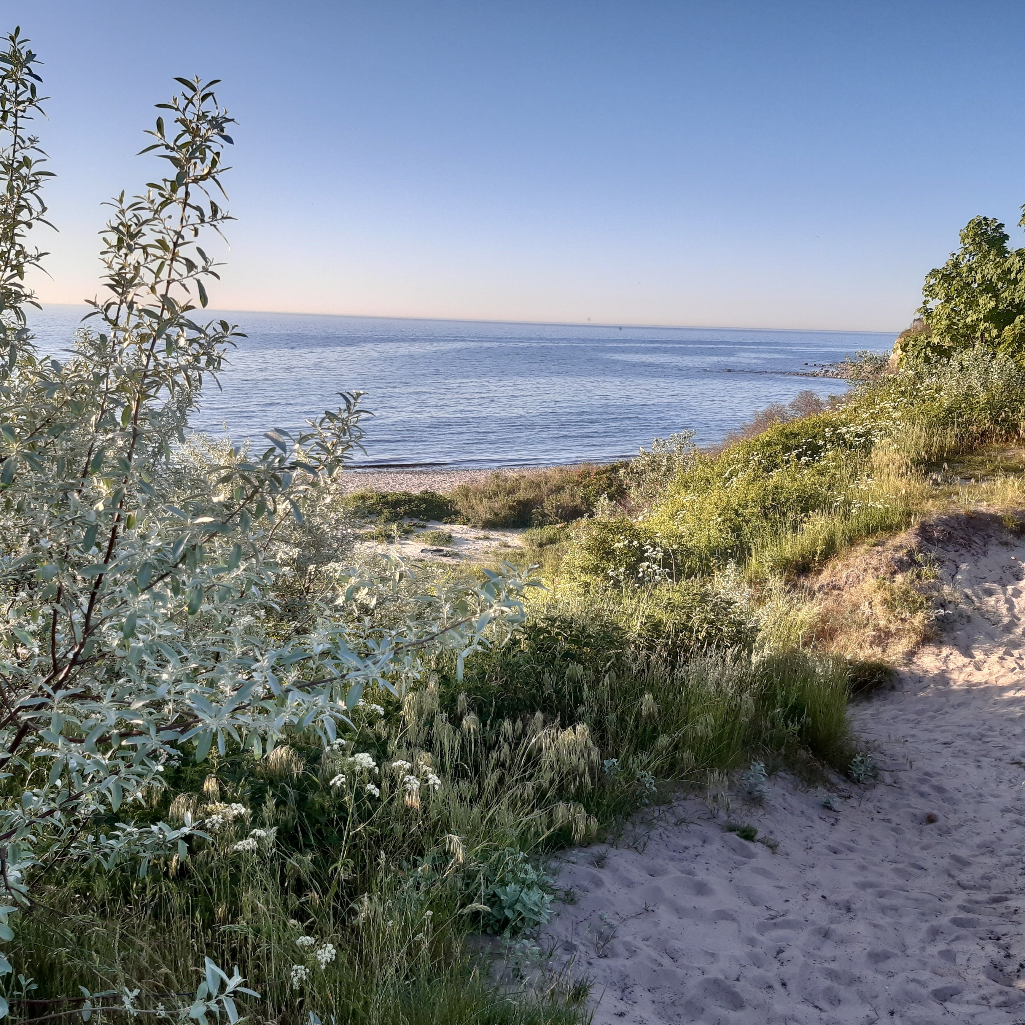 Plage à proximité, chaises longues