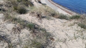 A coastal path leading to a beach with clear skies.
