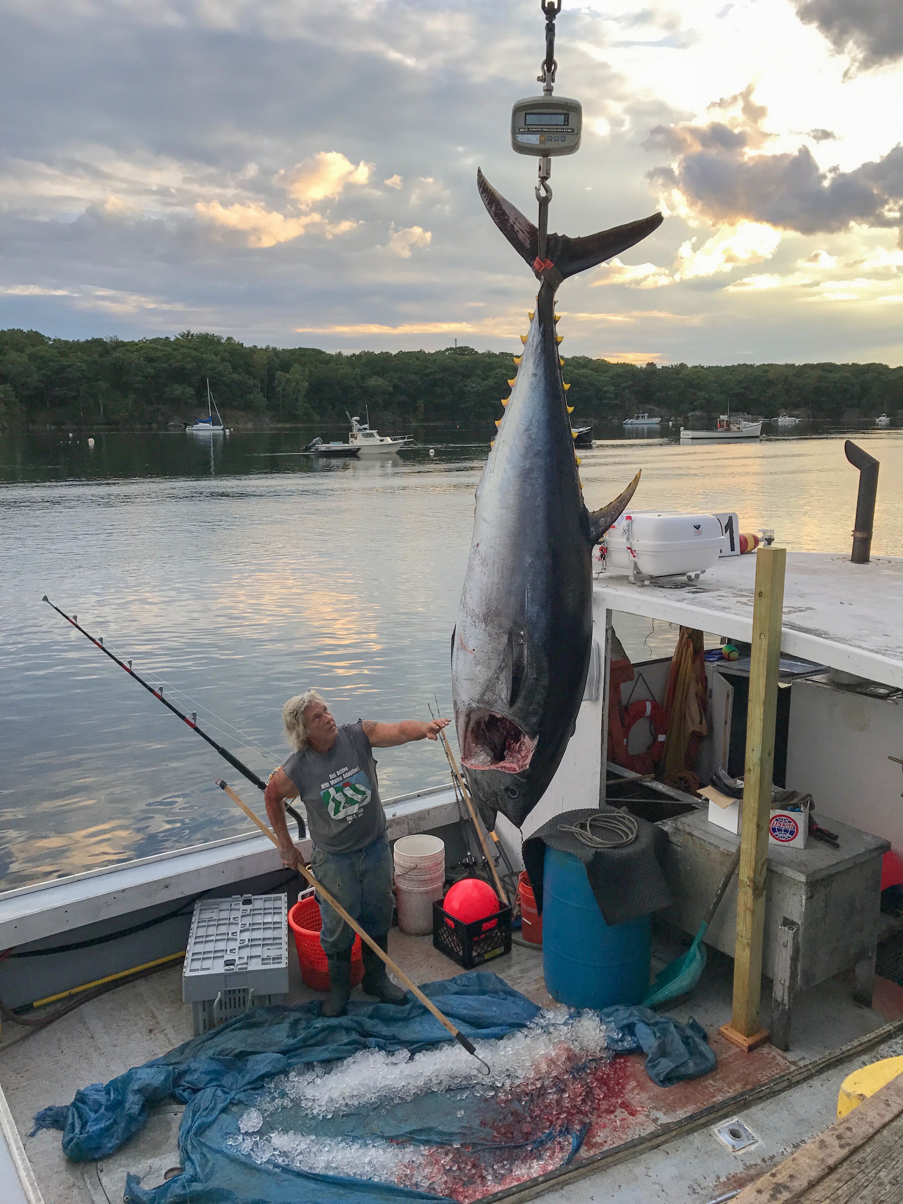 A person holding a large fish on a boat with fishing equipment and a scale.