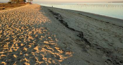 Wunderschöner und großer Bungalow, 50 m vom Strand des Horizon - Cap Ferret entfernt