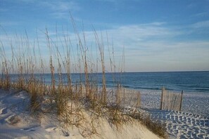 On the beach