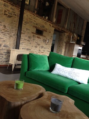 TV, fireplace, DVD player, books - CHIC AND COSY FARMHOUSE. spacious and private gardens. (Martigné-Ferchaud)