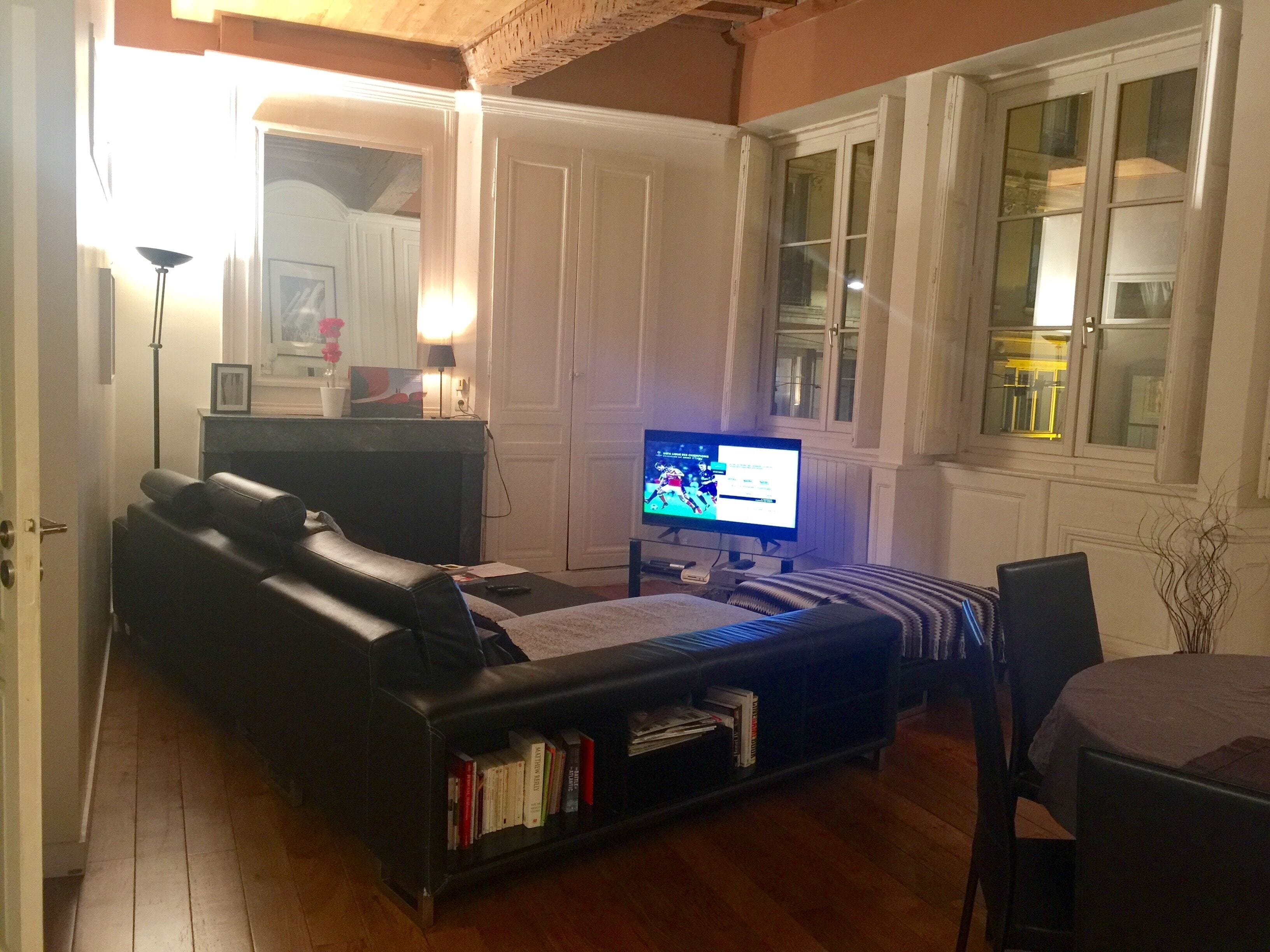 appartement au coeur de lyon 