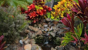 Een tuin met een kleine waterval, tropische planten en een stenen muur.