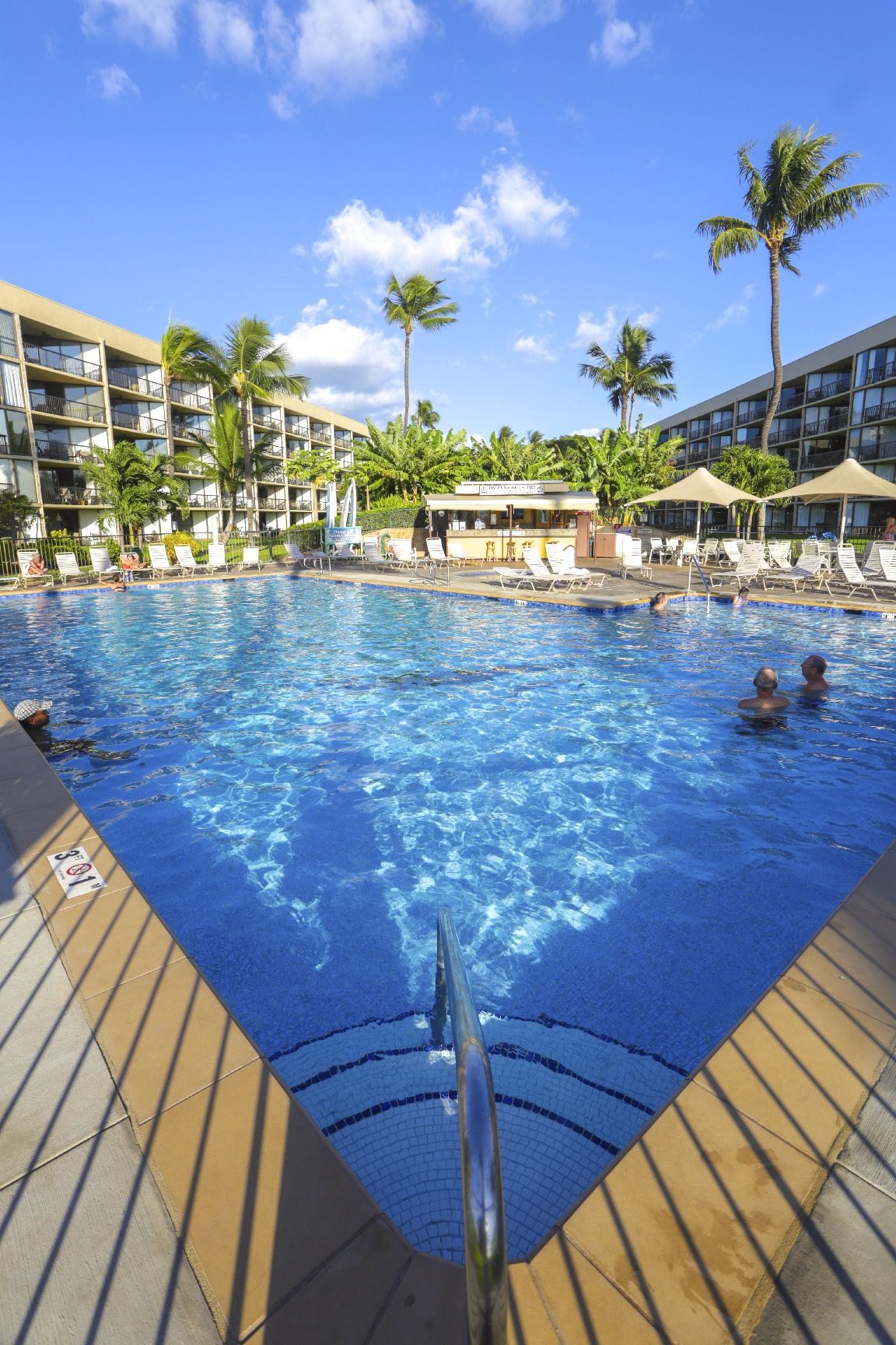A swimming pool with clear blue water, surrounded by lounge chairs and palm trees.