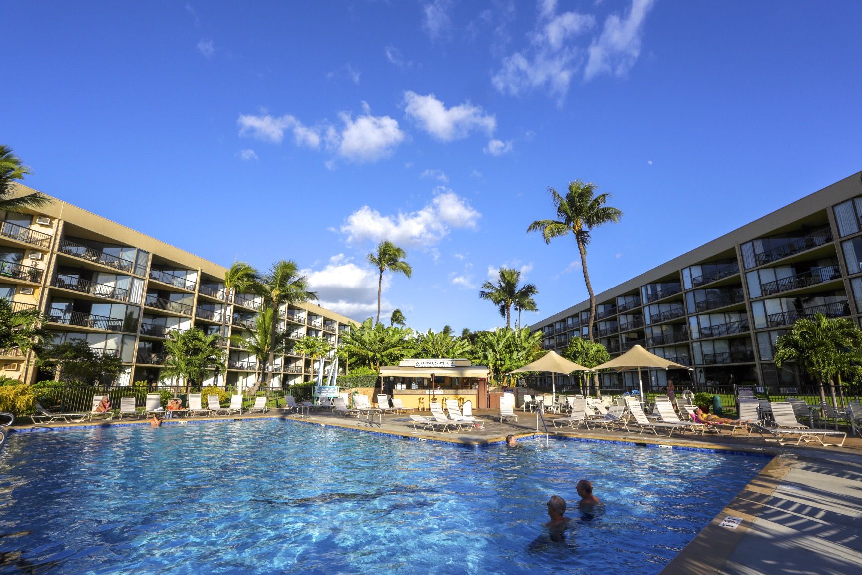 A hotel pool area with multiple lounge chairs and umbrellas, surrounded by palm trees and a clear blue sky.