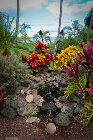 Un jardin agrémenté d’une petite cascade, de plantes tropicales et d’un mur en pierre.