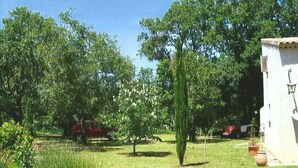 Een tuin met verschillende planten en bomen, een klein wit gebouw met een raam, en een rood voertuig op de achtergrond.