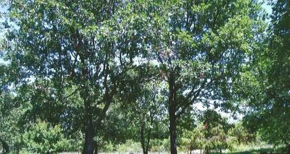 RENT VILLA CHARM OF PROVENCE 400 to 500 € per week