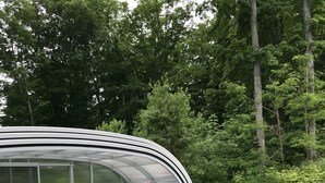 A swimming pool with a glass enclosure, surrounded by trees. - Elegant 2 King Bedroom Apt - 2 night minimum - 4 adults  (Traverse City)