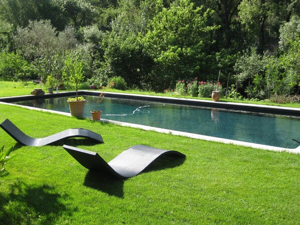 A rectangular swimming pool with a surrounding grassy area and potted plants.