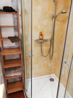 Shower, hair dryer, towels, toilet paper