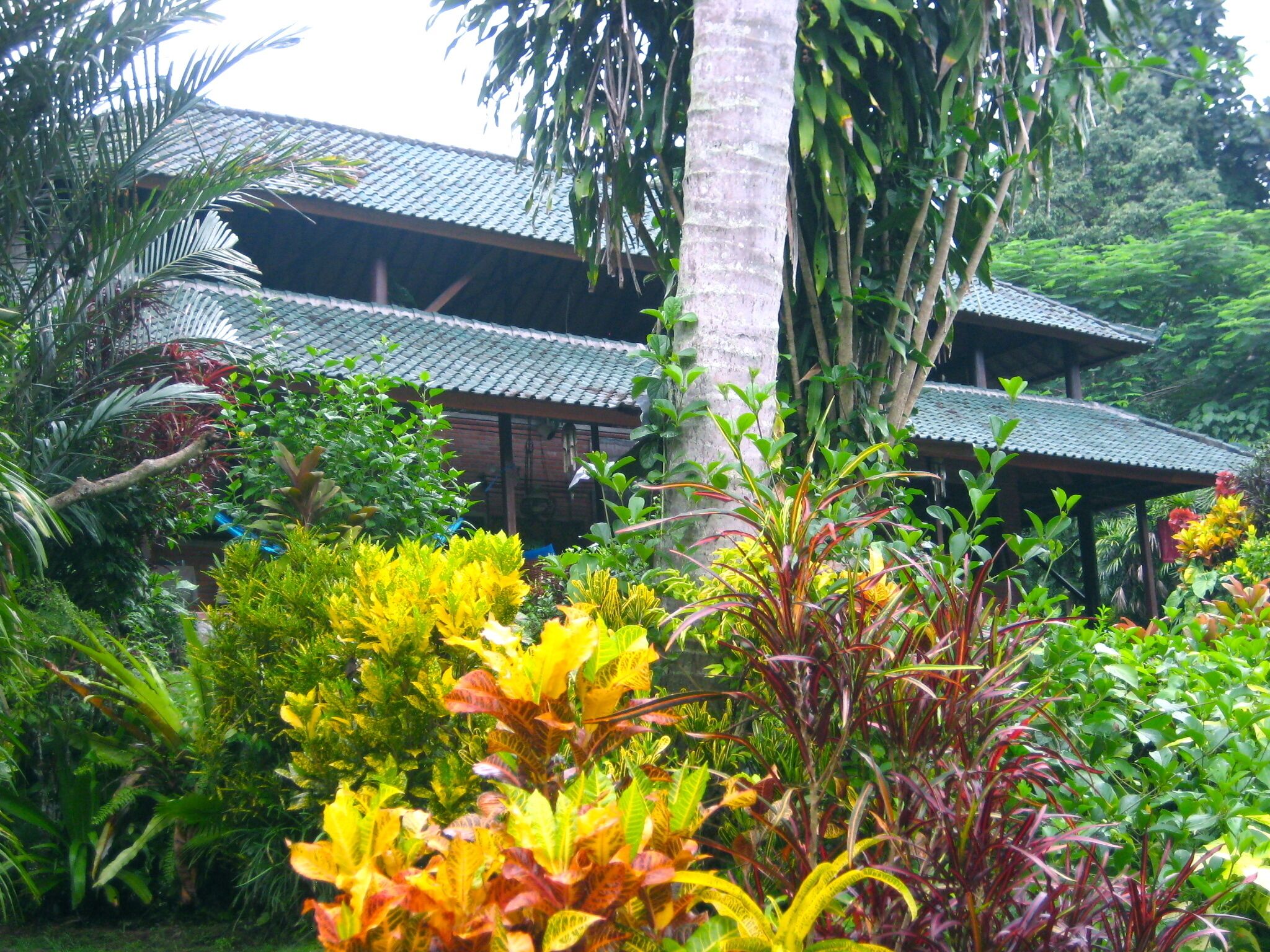 Serene Private "Old Bali" Estate w/pool&Staff, Tucked Away short Walk From Ubud.