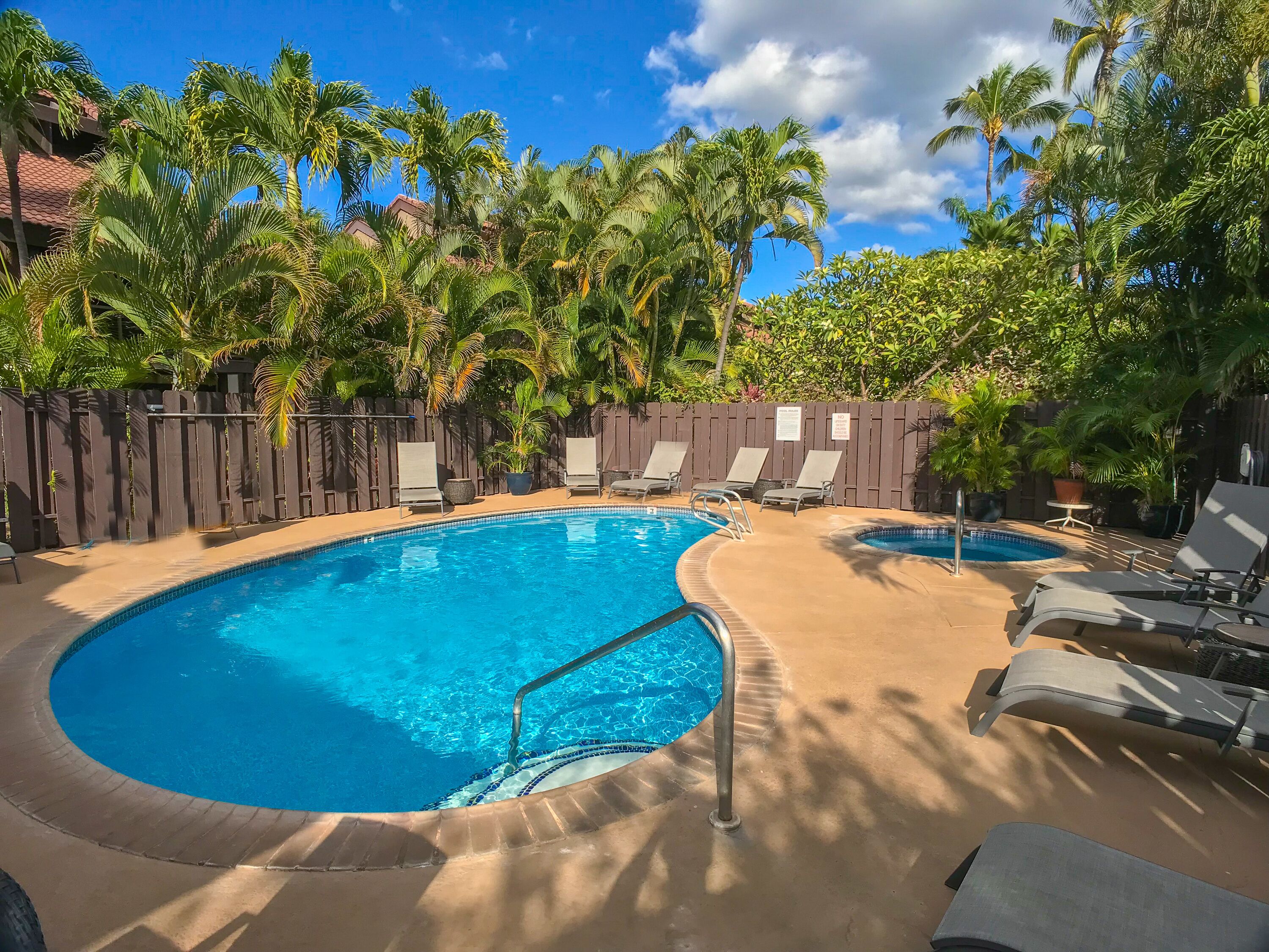A swimming pool with lounge chairs and palm trees.