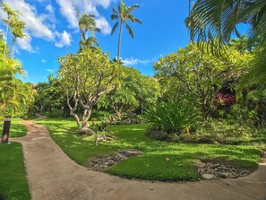 Un jardín tropical con un sendero pavimentado, abundante vegetación y palmeras.