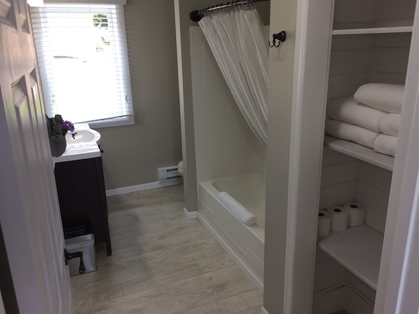 Combined shower/bathtub, hair dryer, towels, shampoo