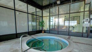 Una piscina interior con paredes de vidrio transparente, una escalera metálica y una planta en maceta.