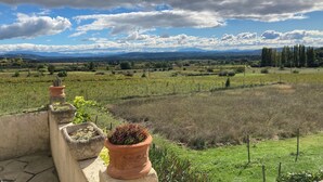 A terrace with terracotta pots and a view of a vineyard and distant mountains. - PROVENCE MAS IN A THOUSAND VINEYARDS VIEW ON MONT VENTOUX WITH POOL (Saint-Montan)