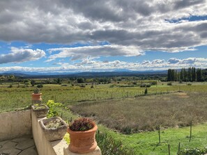 Property grounds - PROVENCE MAS IN A THOUSAND VINEYARDS VIEW ON MONT VENTOUX WITH POOL (Saint-Montan)