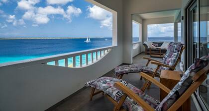 Poikkeuksellinen Oceanfront Penthouse Delfshaven Sanddollar Resort