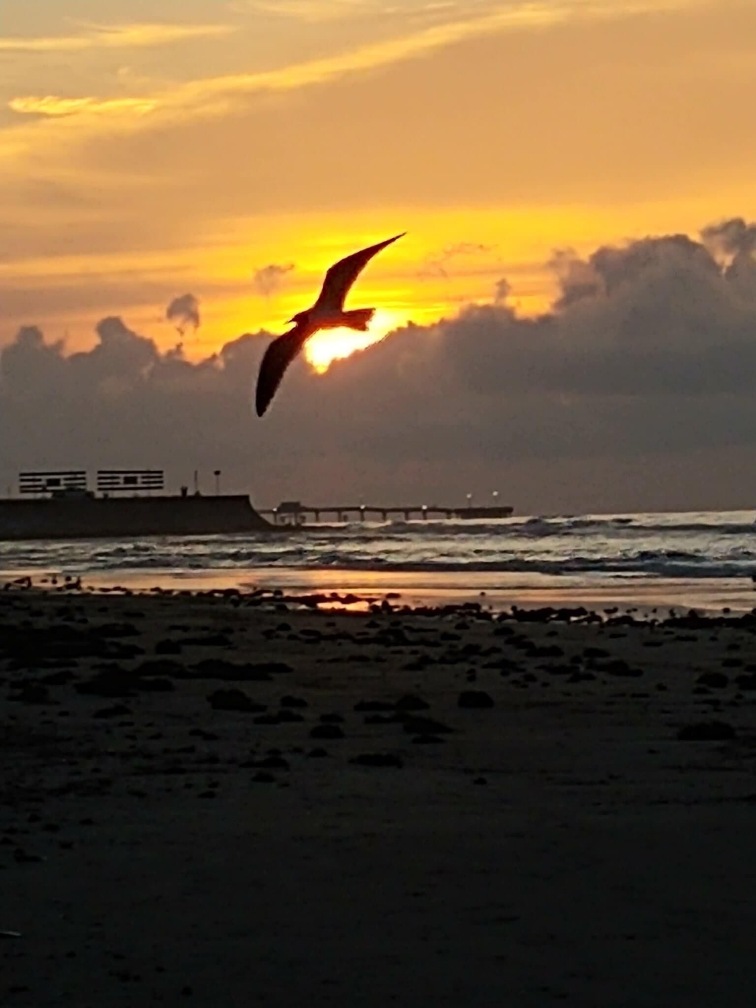 Praia