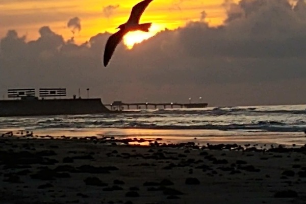 Praia