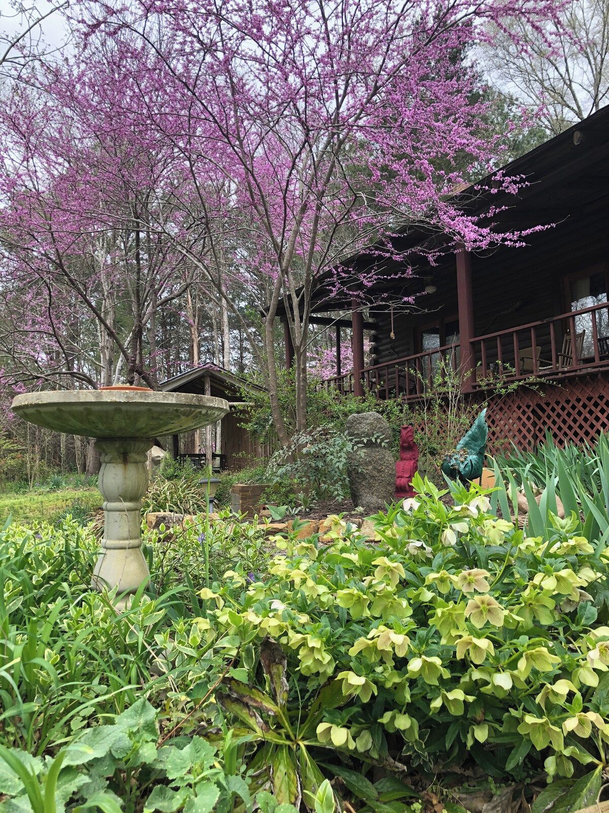 Un jardin agrémenté d’un abreuvoir pour oiseaux, d’arbres en fleurs et d’une structure en bois.