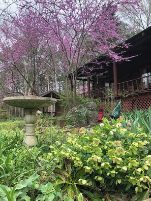 A garden with a bird bath, flowering trees, and a wooden structure.