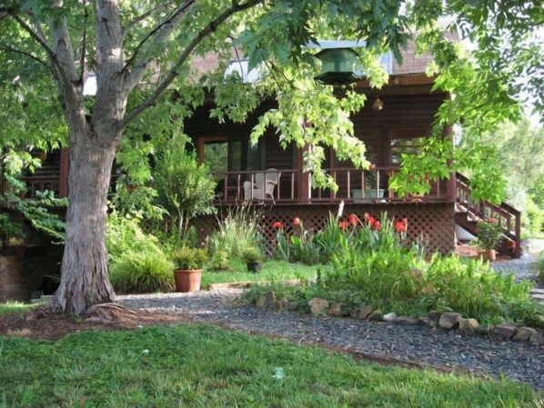 A wooden cabin with a porch, surrounded by a garden with various plants and a tree.