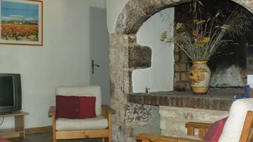 Télévision, cheminée, lecteur de DVD, livres