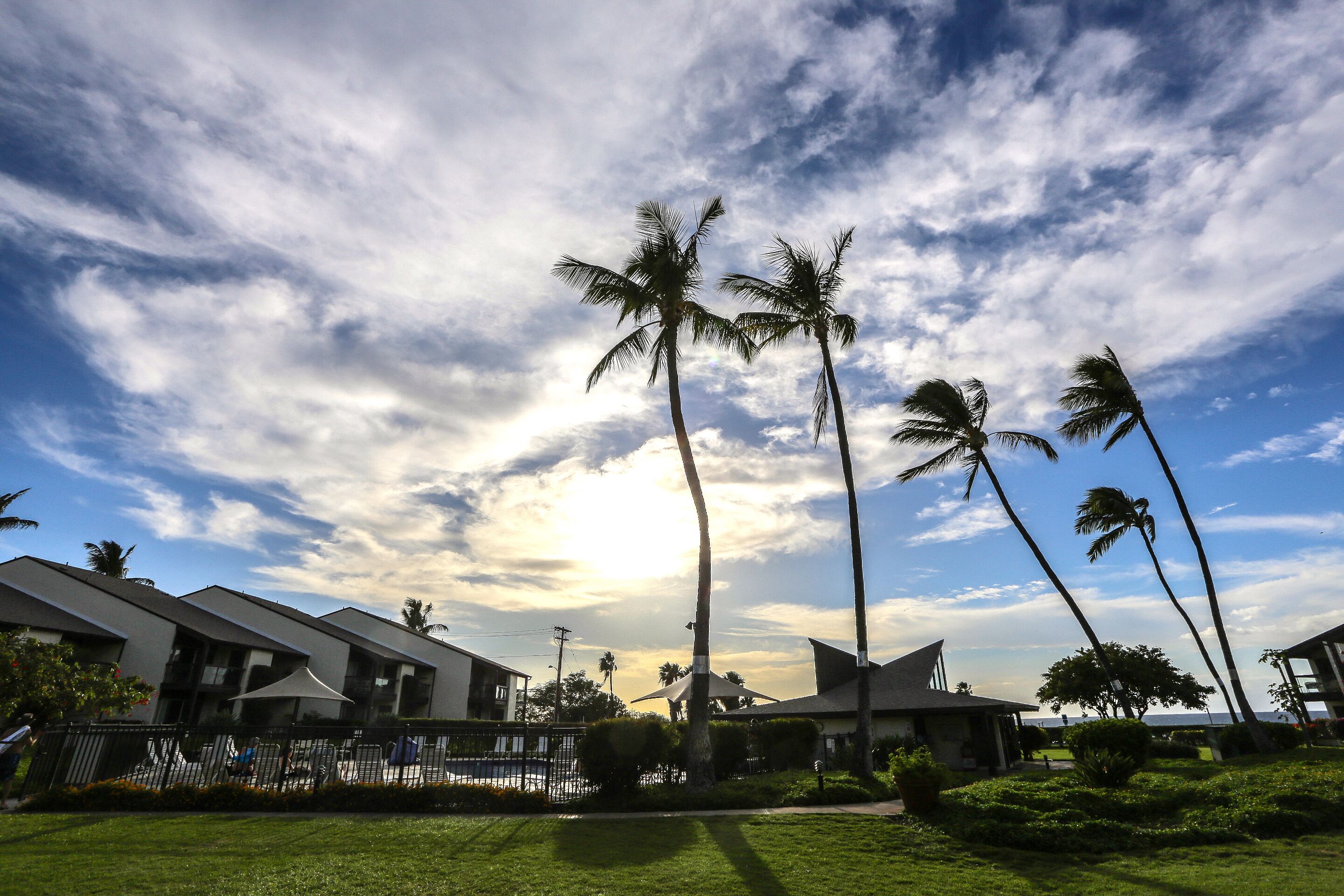 A modern building with a pool, surrounded by palm trees and greenery.