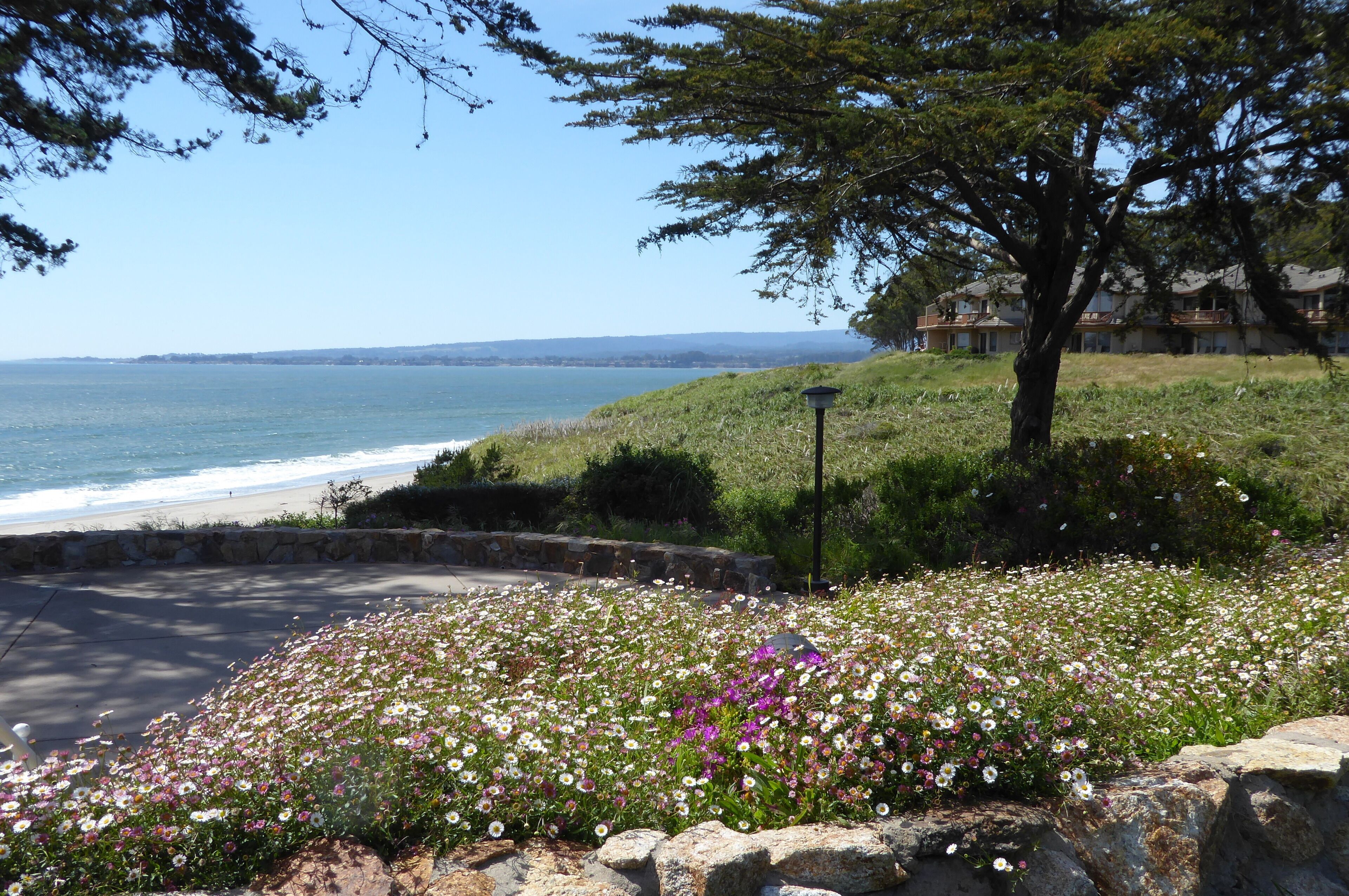 Resort - Wedding Venue