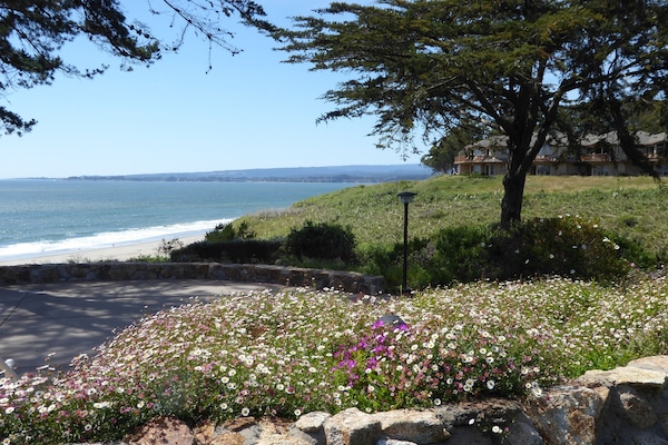 Resort - Wedding Venue