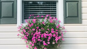 A window with green shutters and a hanging planter with pink flowers. - Piper's Flat, Cozy, Comfy & Sparkling Clean (Aiken)