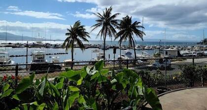 Premium Ocean Views at this 2bd/2ba Loft Unit *BRAND NEW AC THROUGHOUT*