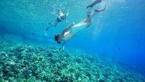 Eine Unterwasseransicht mit klarem Wasser, einem Taucher und einem Korallenriff.