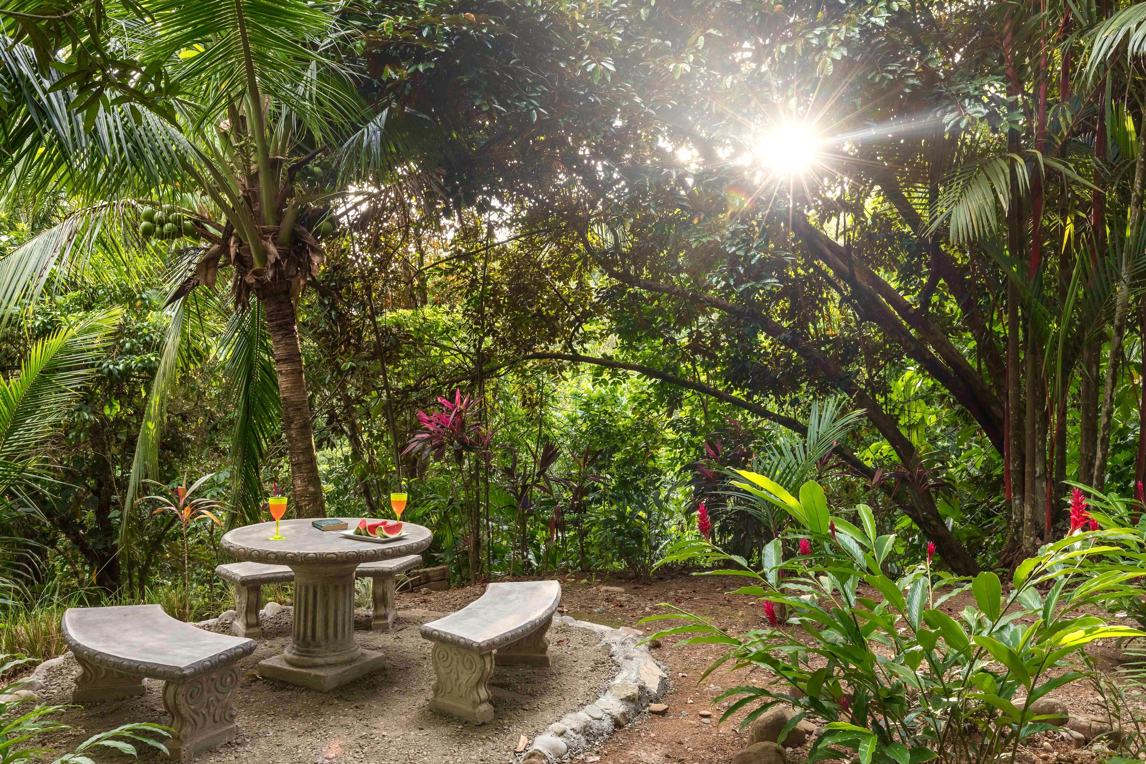 A garden with a stone table and benches, surrounded by lush greenery and a palm tree.
