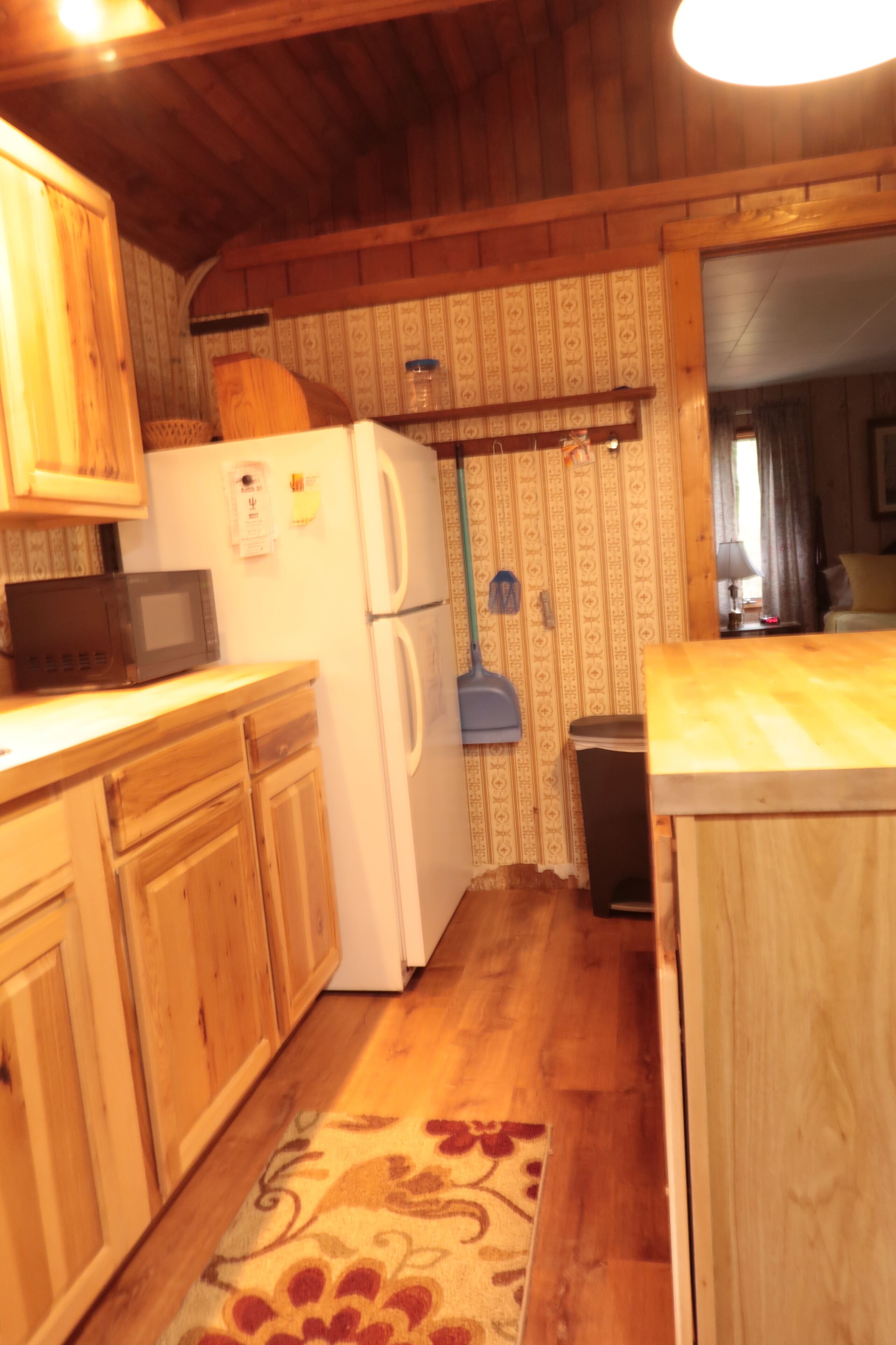 The Little Cedar - overlooking South Black Creek