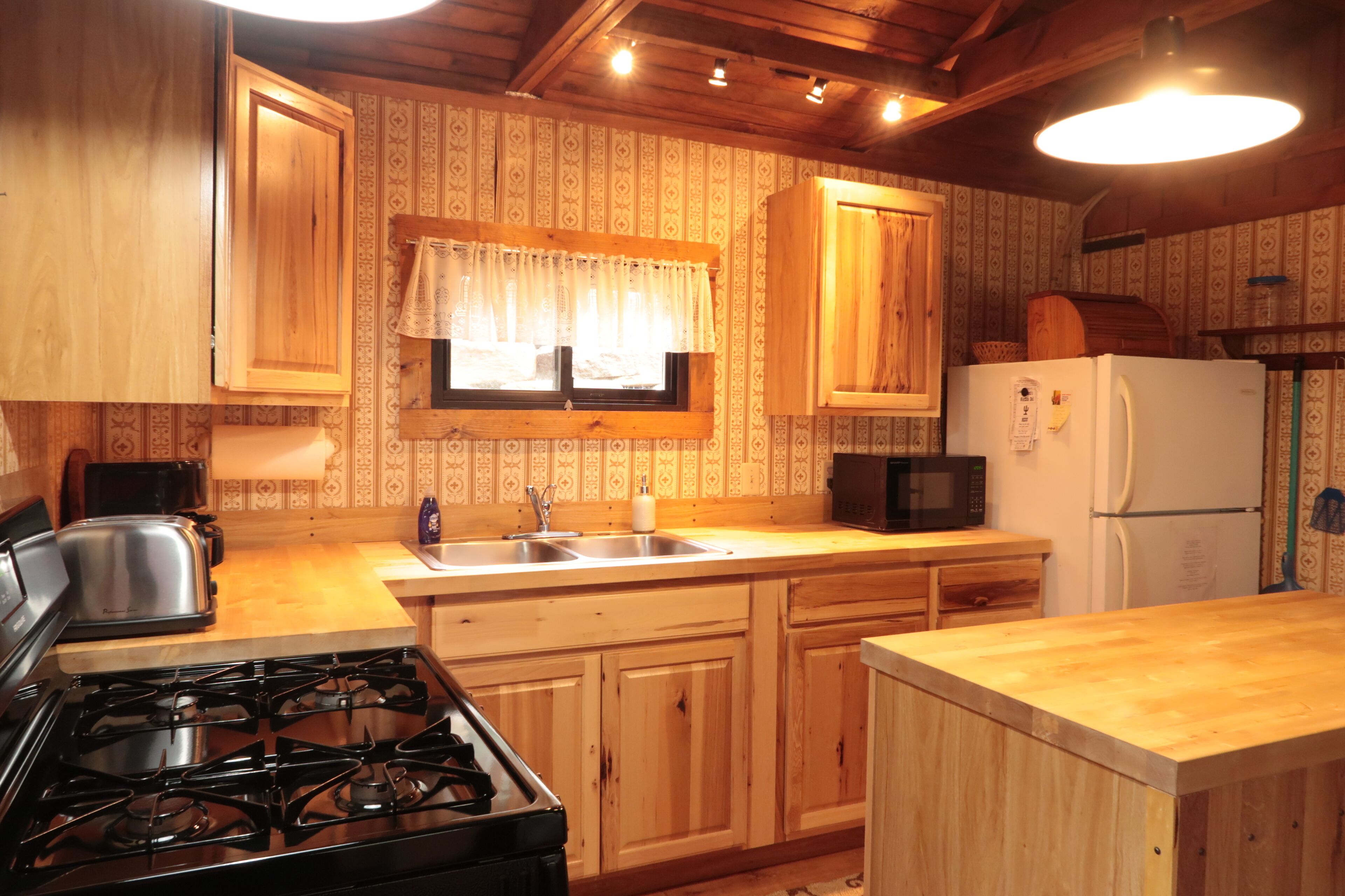 The Little Cedar - overlooking South Black Creek