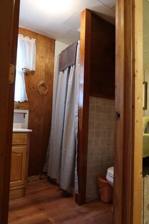 Shower, hair dryer, toilet paper