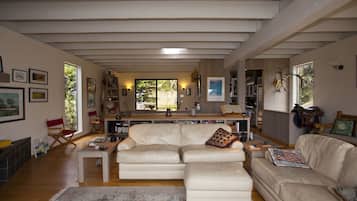 Smart TV, fireplace, DVD player, books