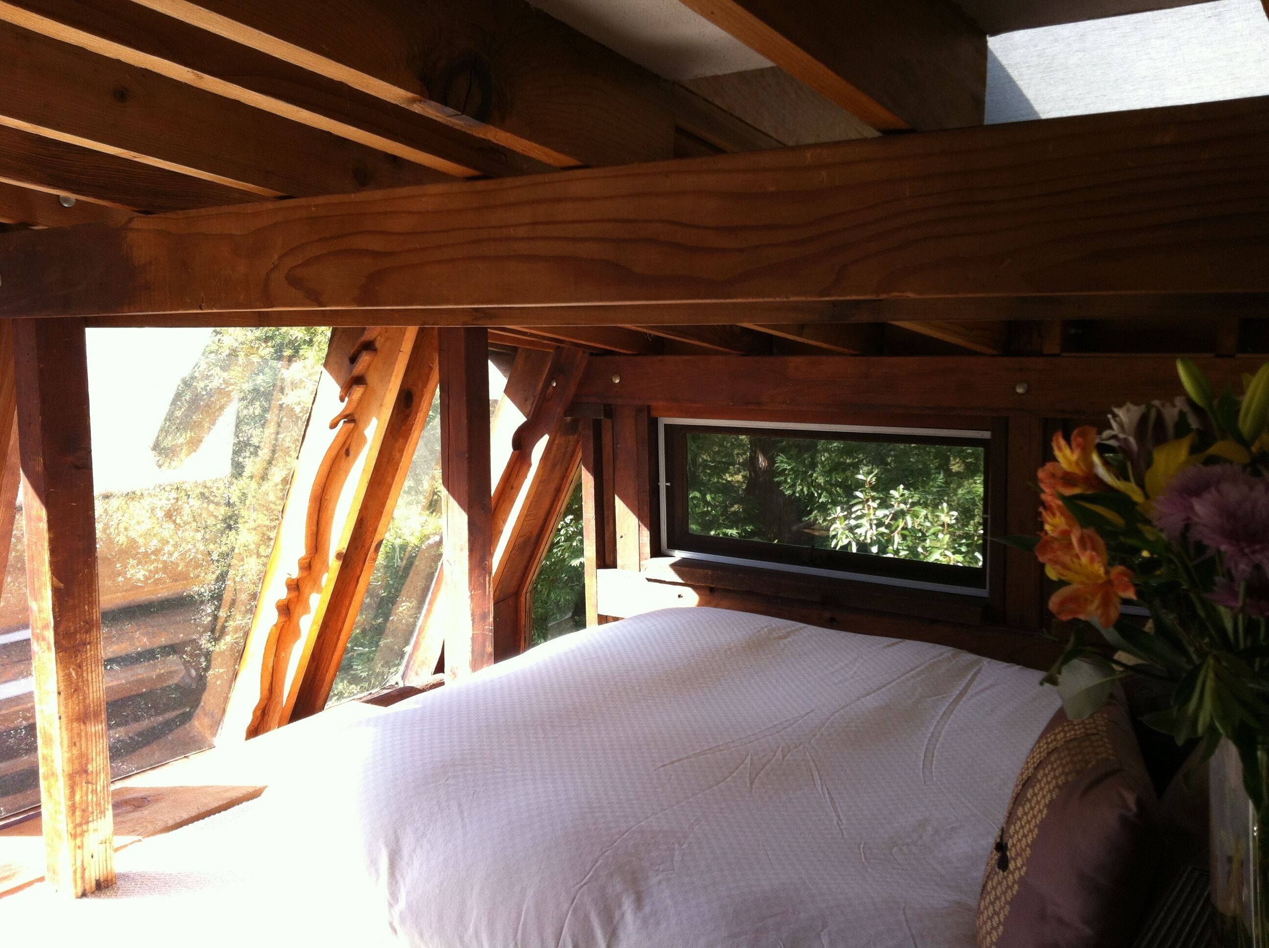 Big Sur Dream Home  Completely private with an outdoor hot tub and fireplace.