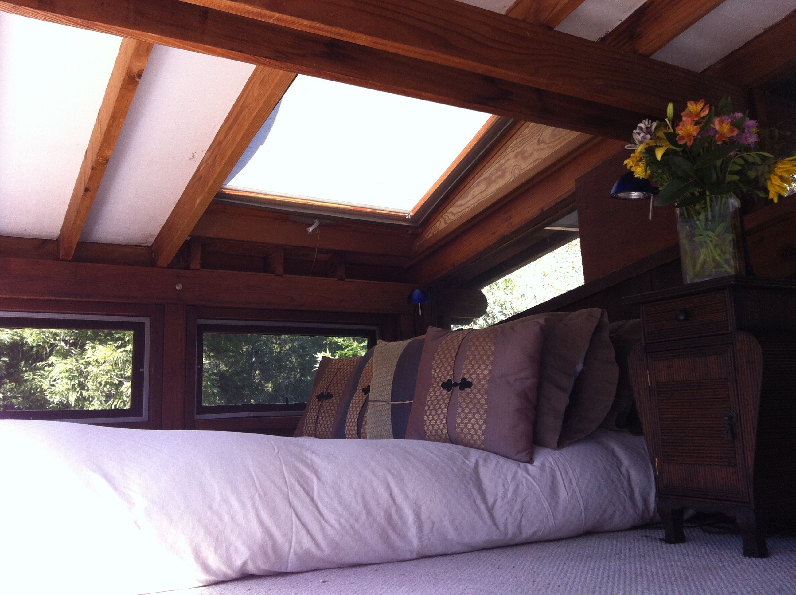 Big Sur Dream Home  Completely private with an outdoor hot tub and fireplace.