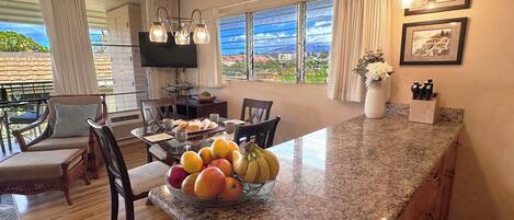 A kitchen with a granite countertop, a dining area with chairs, a TV, and a view of the outdoors.