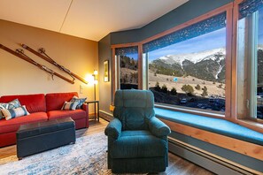 TV, DVD player, books, video library